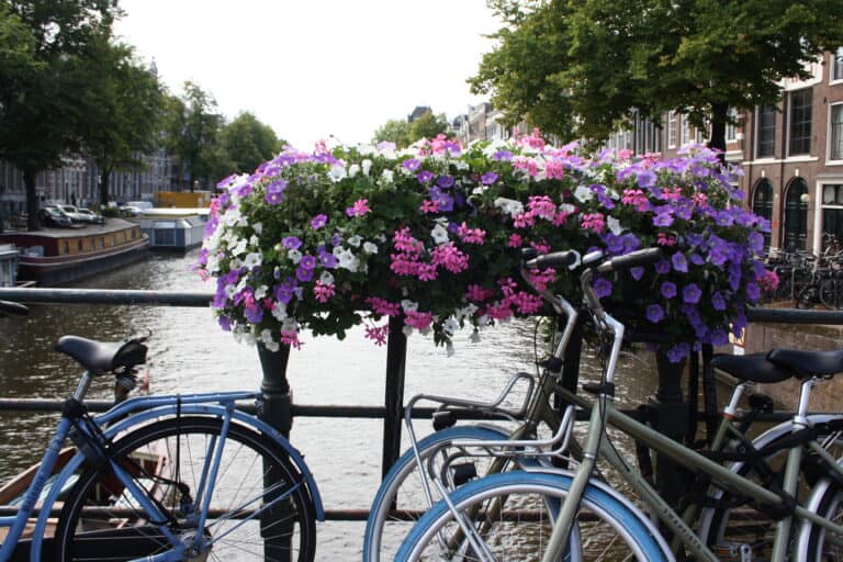 Amsterdam canal with bikes and flowers positioned in front