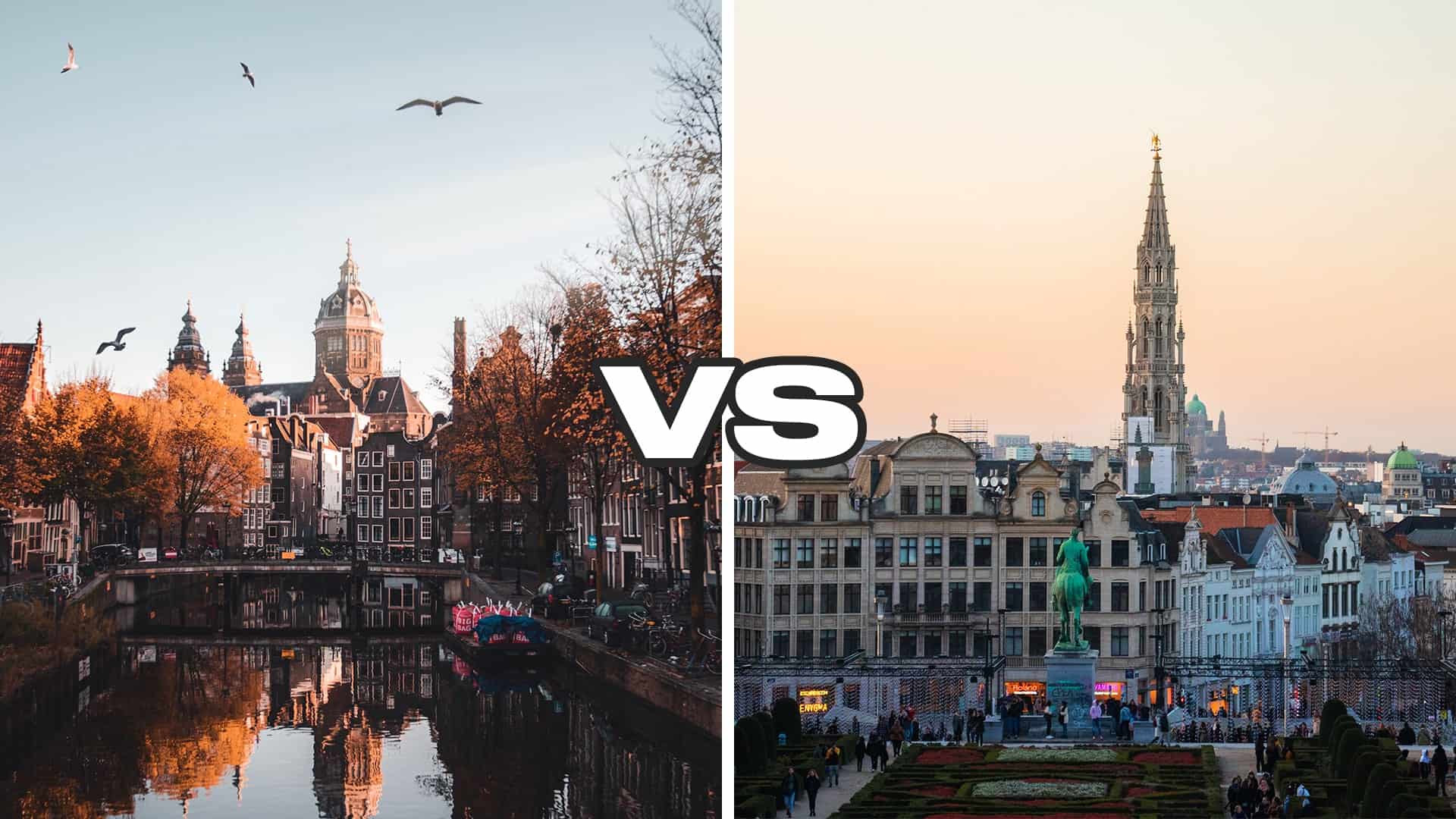 Amsterdam vs Brussels graphic